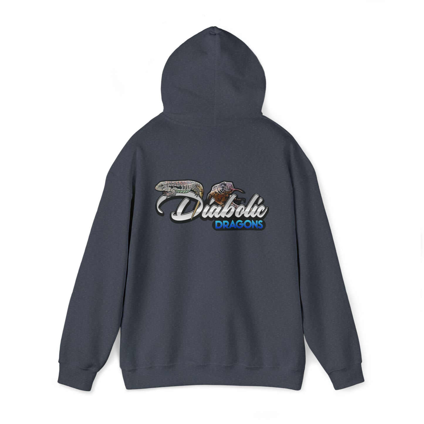 Diabolic Dragons Hoodie | Logo Design