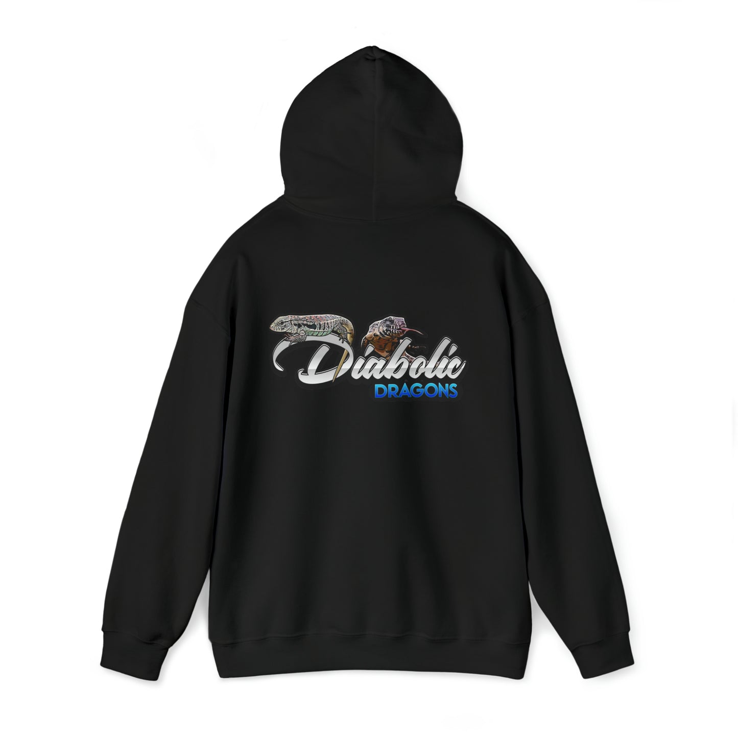 Diabolic Dragons Hoodie | Logo Design