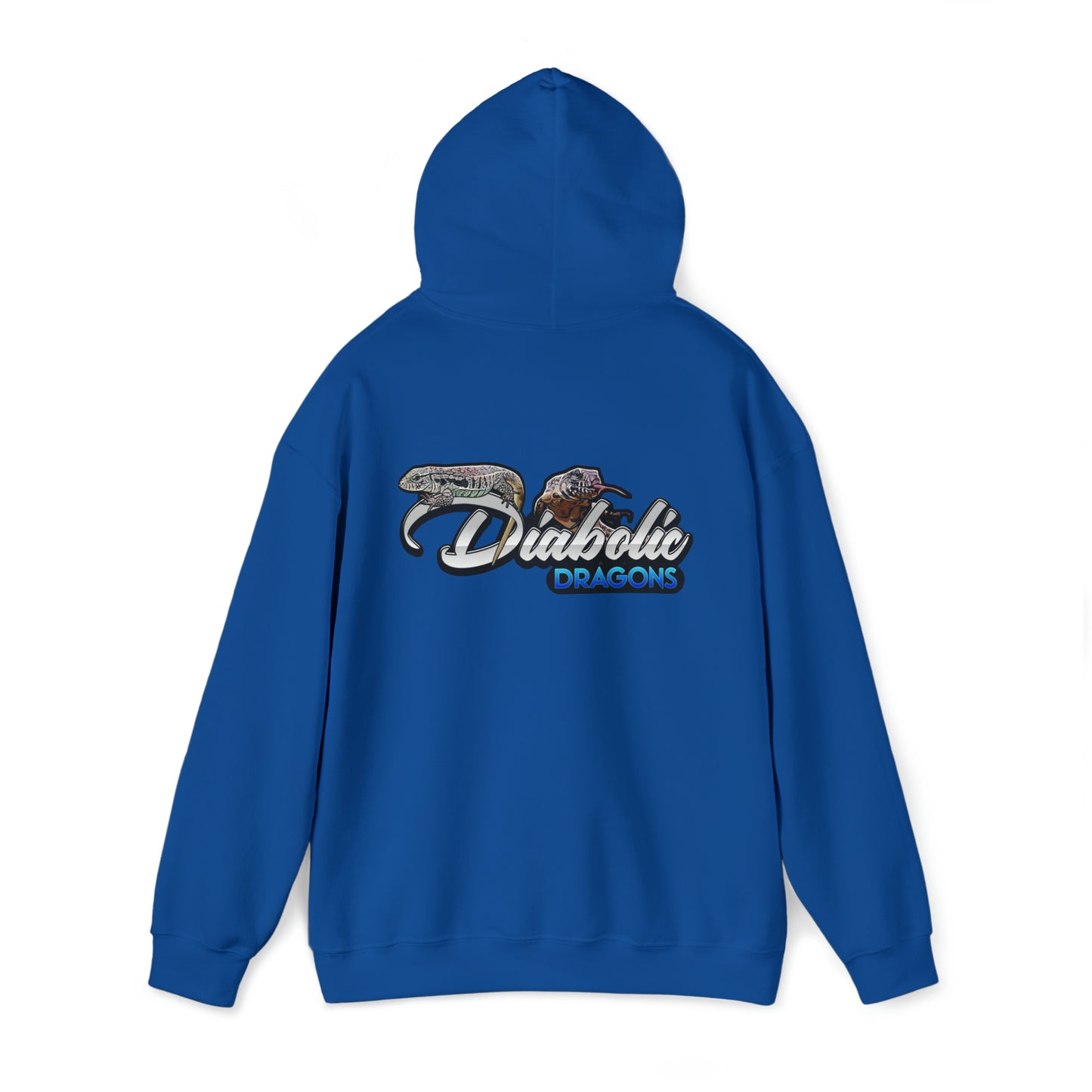 Diabolic Dragons Hoodie | Logo Design