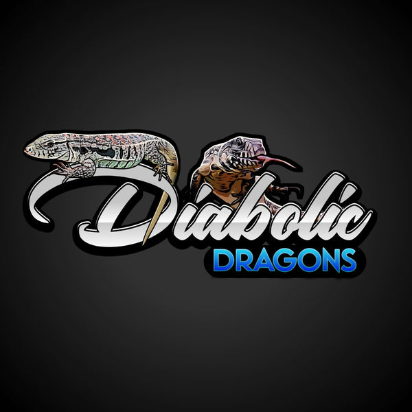 DiabolicDragons