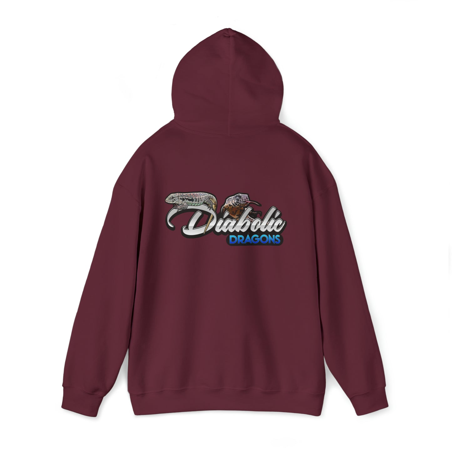 Diabolic Dragons Hoodie | Logo Design